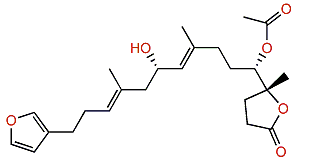 15-Acetylirciformonin B